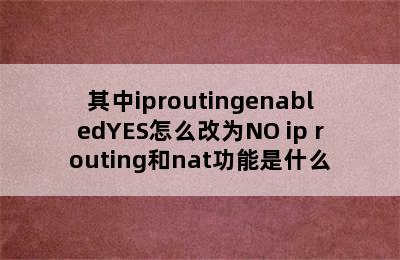 其中iproutingenabledYES怎么改为NO ip routing和nat功能是什么